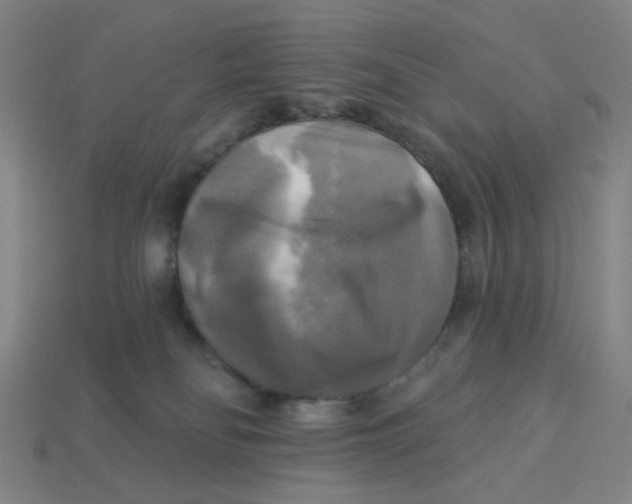 X0000113340134200910061006