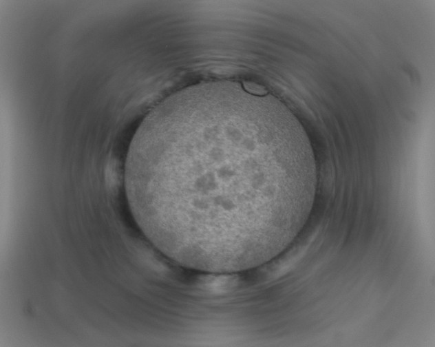 X0000113340135200910061006
