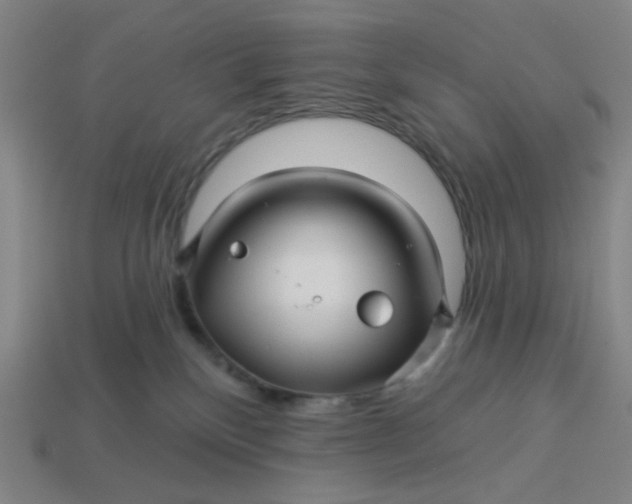 X0000113340136200910061006