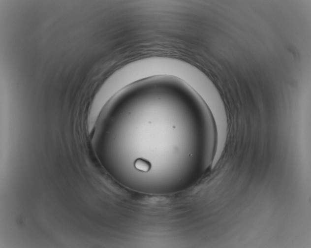 X0000113340137200910061006