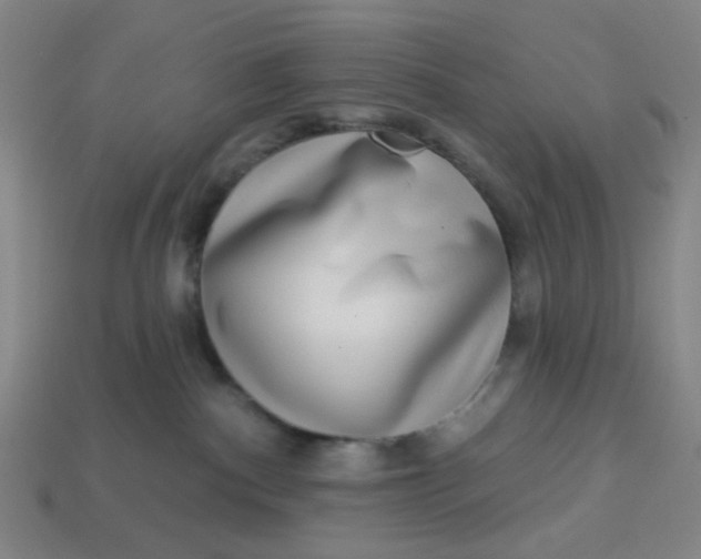 X0000113340140200910061006