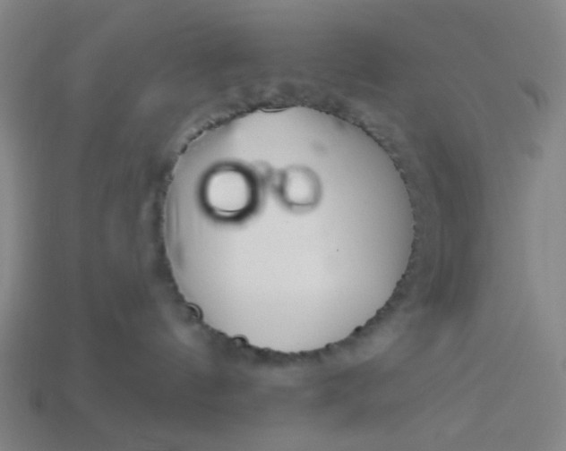 X0000113340144200910061006