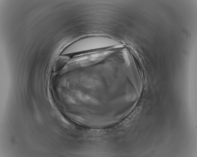 X0000113340145200910061005