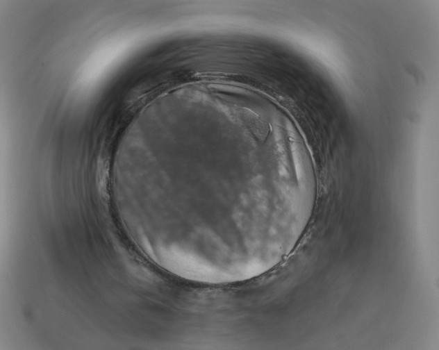 X0000113340146200910061005