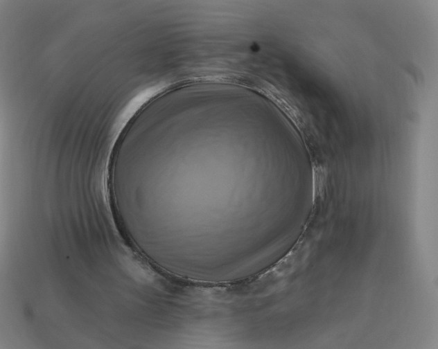 X0000113340147200910061005