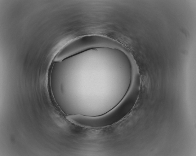 X0000113340148200910061005