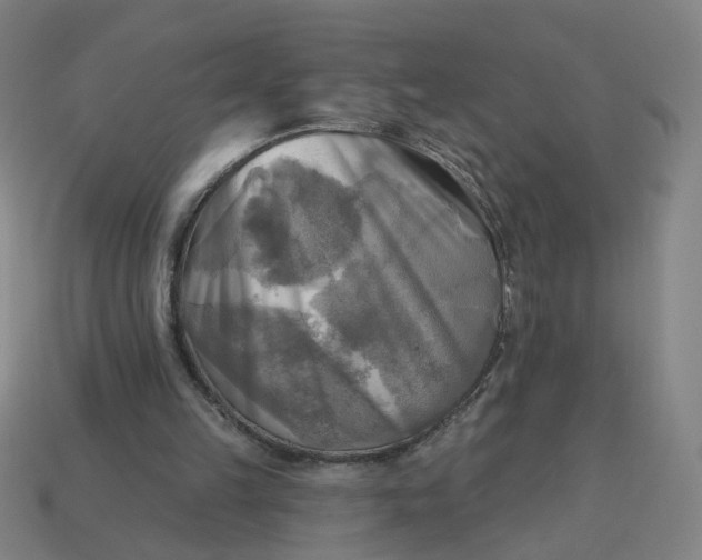 X0000113340149200910061005