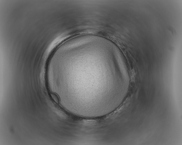 X0000113340150200910061005
