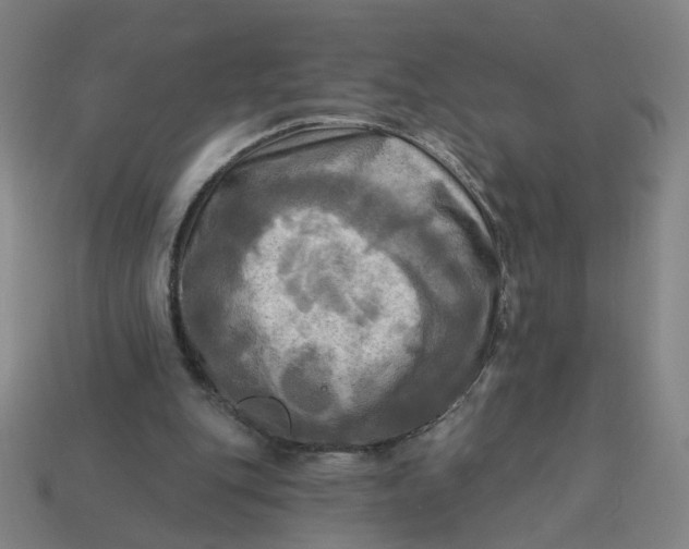 X0000113340151200910061005
