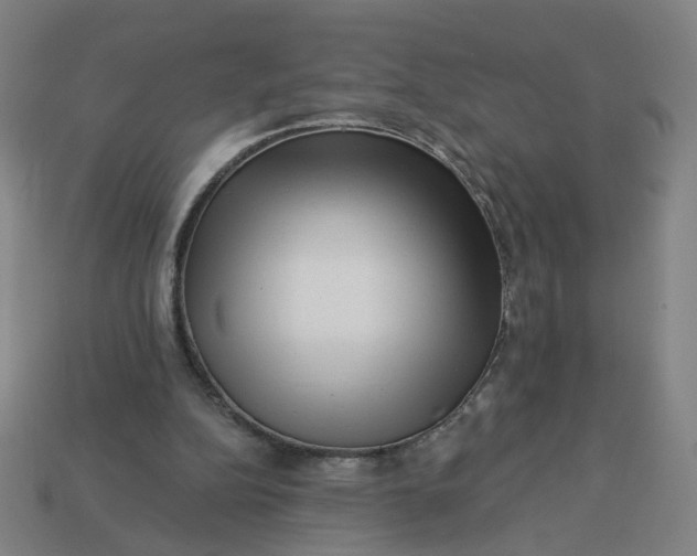 X0000113340152200910061005