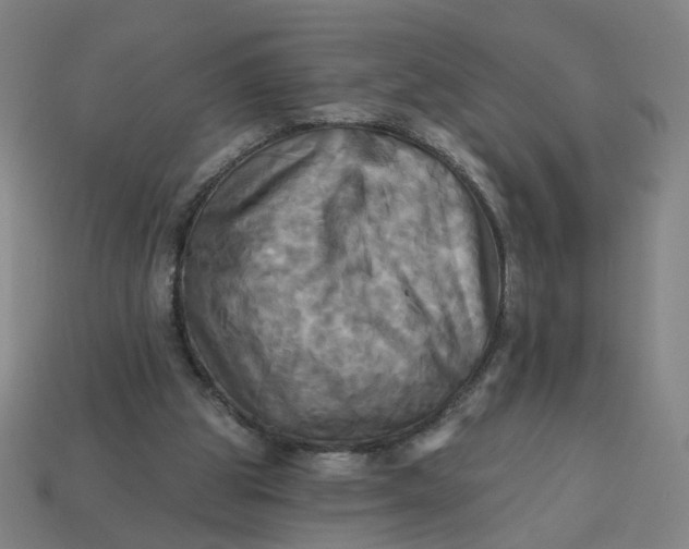 X0000113340153200910061005