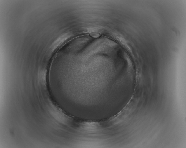 X0000113340154200910061005