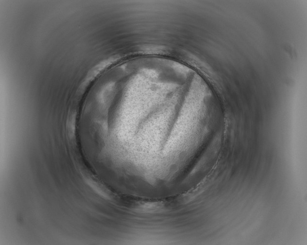 X0000113340155200910061005