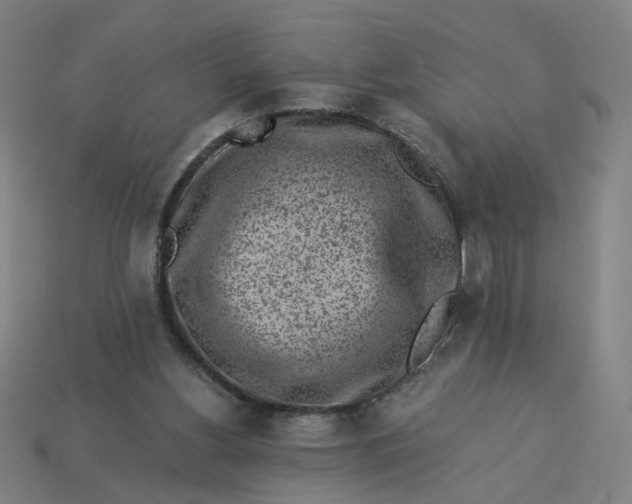 X0000113340156200910061005