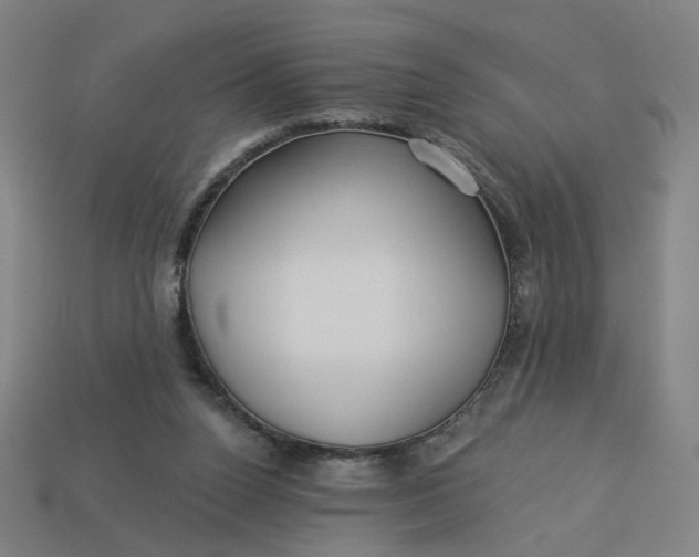 X0000113340160200910061005