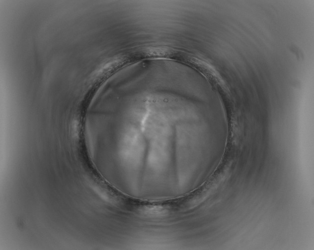 X0000113340161200910061005
