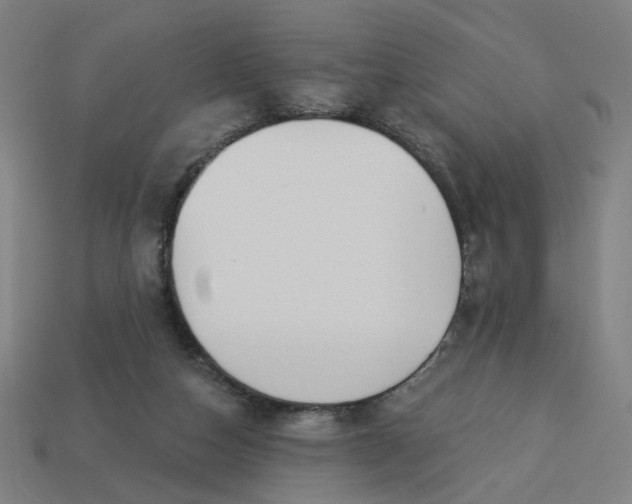 X0000113340162200910061005