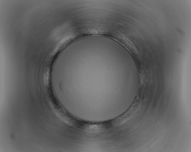 X0000113340163200910061005
