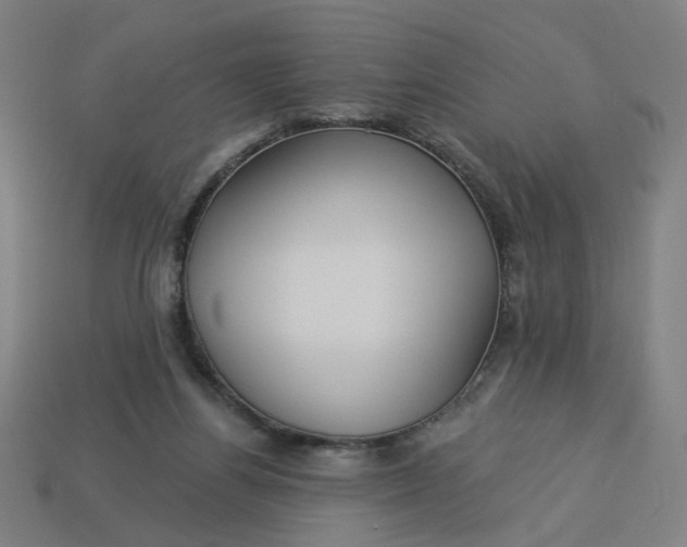 X0000113340164200910061005