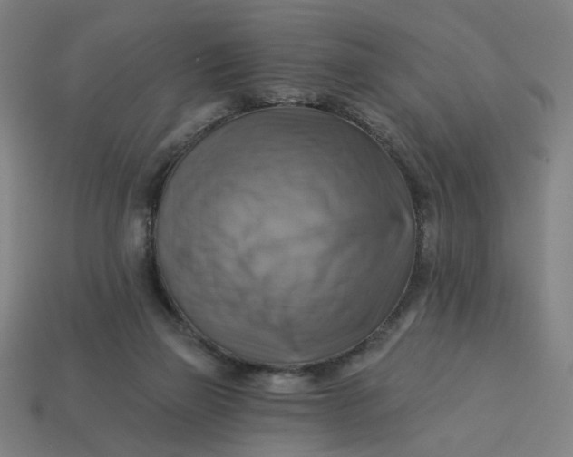 X0000113340165200910061005
