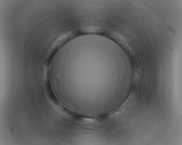 X0000113340167200910061005