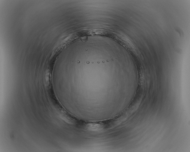 X0000113340169200910061005