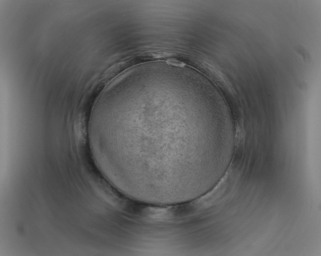 X0000113340170200910061005