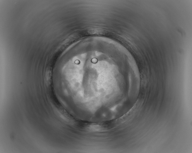 X0000113340171200910061005