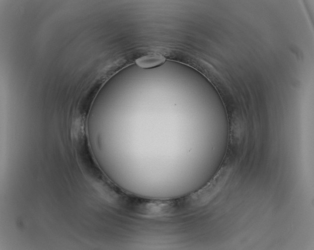 X0000113340172200910061005