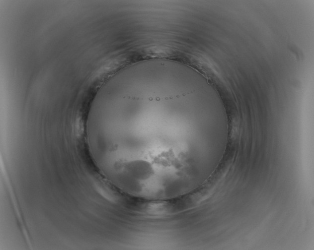 X0000113340173200910061005