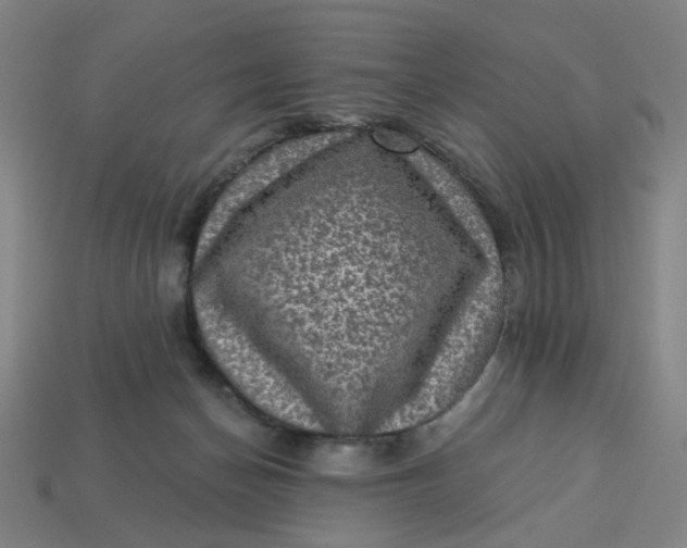 X0000113340174200910061005
