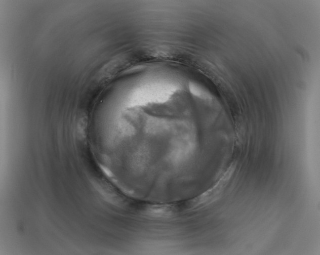 X0000113340175200910061005