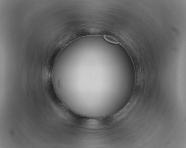 X0000113340176200910061005