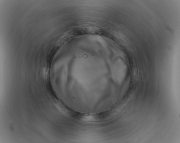X0000113340177200910061005