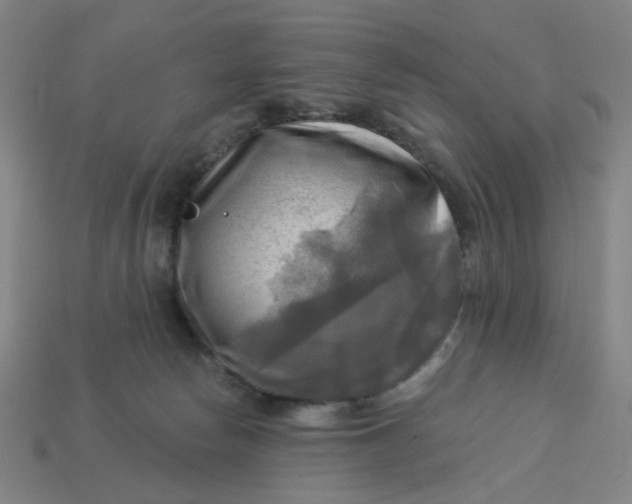 X0000113340178200910061005