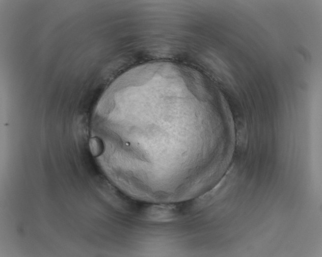 X0000113340179200910061005