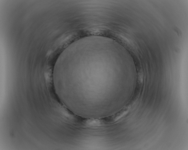 X0000113340181200910061005