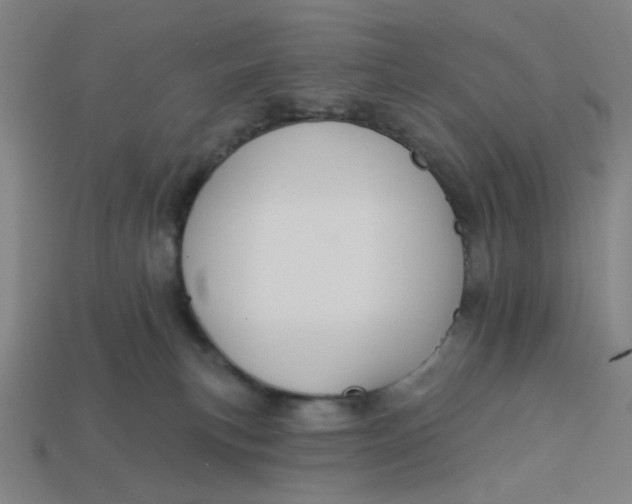 X0000113340183200910061006