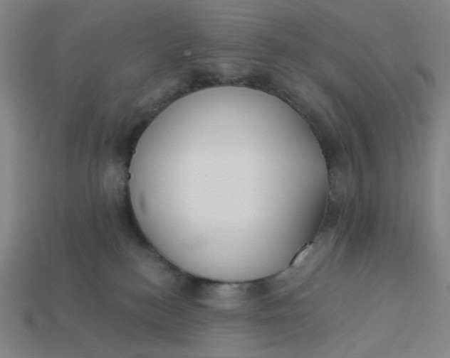 X0000113340184200910061006