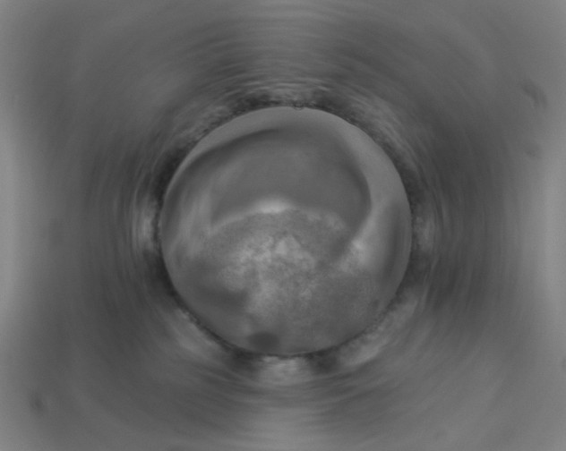 X0000113340185200910061006