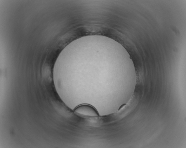 X0000113340187200910061006