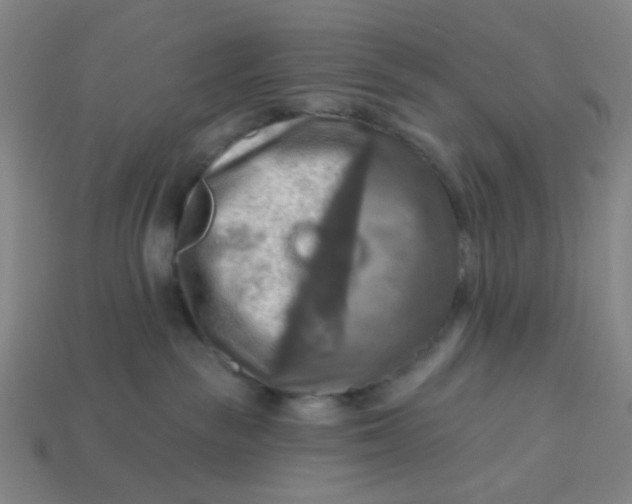 X0000113340189200910061006