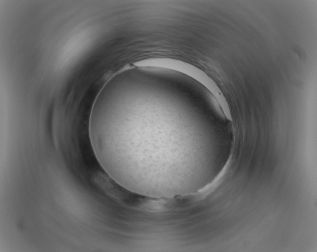 X0000113340190200910061006