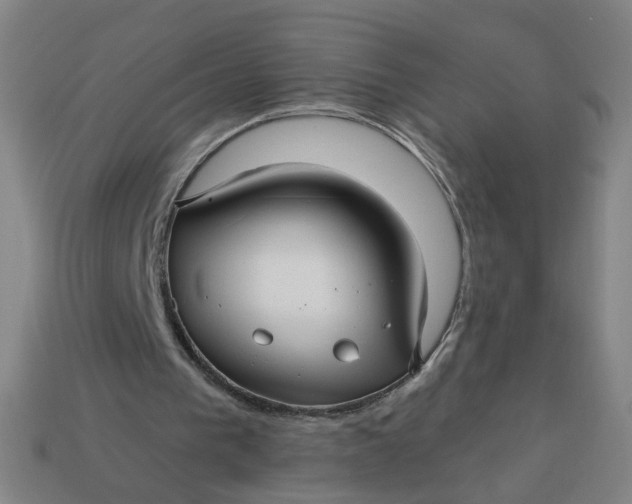 X0000113340193200910061005