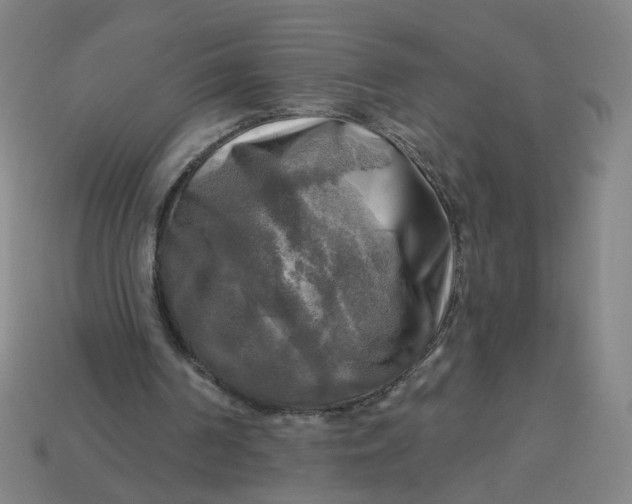 X0000113340194200910061005