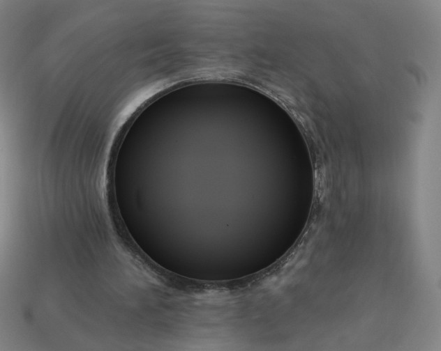 X0000113340196200910061005