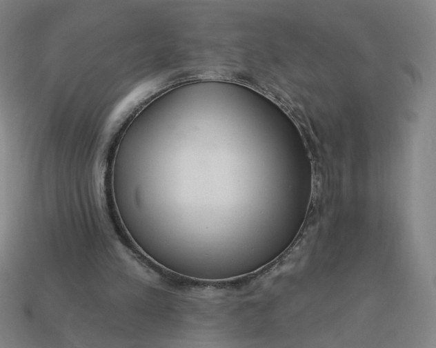 X0000113340197200910061005