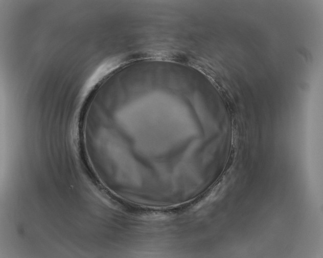 X0000113340198200910061005
