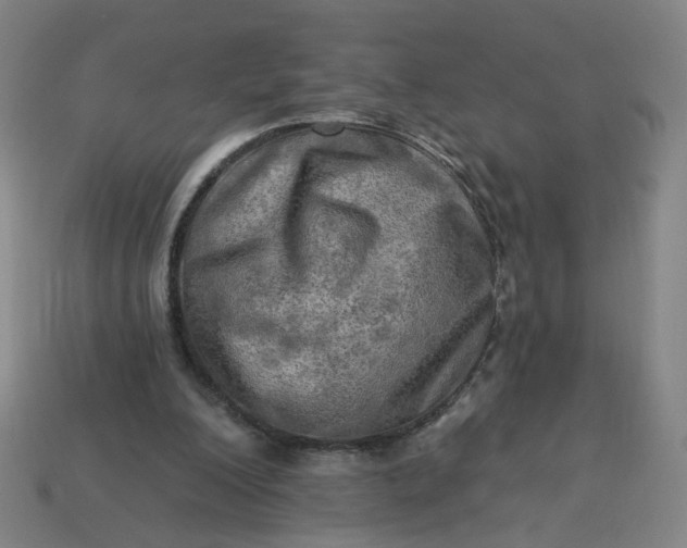 X0000113340200200910061005