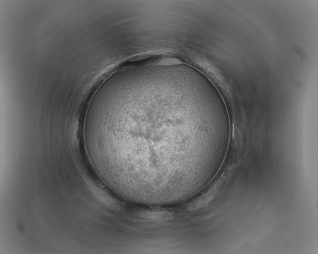 X0000113340201200910061005